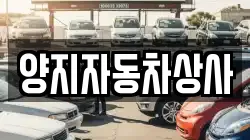 양지자동차상사