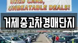 거제중고차경매단지