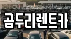 경상남도 거제시 연초면 렌트카,단기렌트카,장기렌트카,중고차,중고차매매,중고차매입