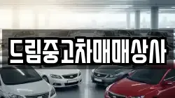 드림중고차매매상사