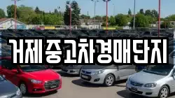 거제중고차경매단지