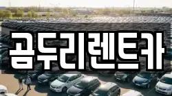 경상남도 거제시 장목면 렌트카,단기렌트카,장기렌트카,중고차,중고차매매,중고차매입