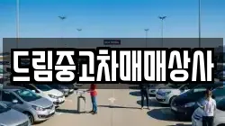 드림중고차매매상사