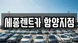 세종렌트카 함양지점