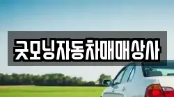 굿모닝자동차매매상사