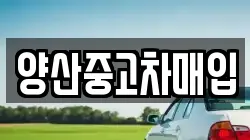 양산중고차매입