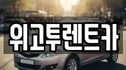 위고투렌트카