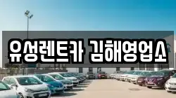 경상남도 김해시 대성동 렌트카,단기렌트카,장기렌트카,중고차,중고차매매,중고차매입