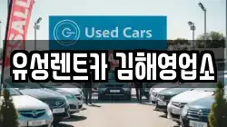 경상남도 김해시 봉황동 렌트카,단기렌트카,장기렌트카,중고차,중고차매매,중고차매입