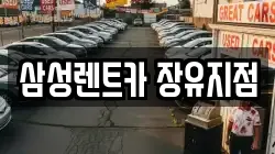 삼성렌트카 장유지점