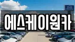 에스케이원카