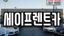 세이프렌트카