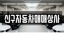 신구자동차매매상사