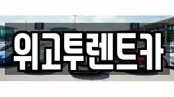 위고투렌트카