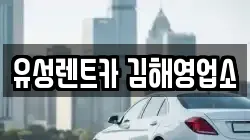 유성렌트카 김해영업소