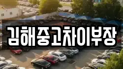 김해중고차이부장