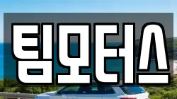 팀모터스