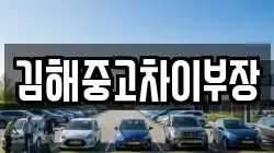 김해중고차이부장