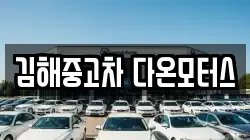 김해중고차 다온모터스