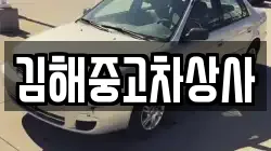 김해중고차상사