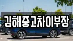 김해중고차이부장