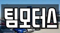 팀모터스