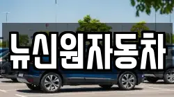 뉴신원자동차