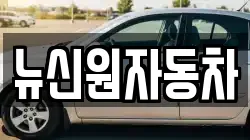 뉴신원자동차