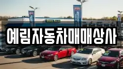 경상남도 밀양시 상남면 렌트카,단기렌트카,장기렌트카,중고차,중고차매매,중고차매입