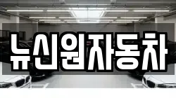 뉴신원자동차