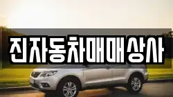 진자동차매매상사