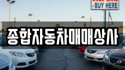 종합자동차매매상사