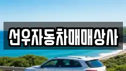 선우자동차매매상사