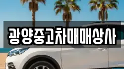 경상남도 사천시 와룡동 렌트카,단기렌트카,장기렌트카,중고차,중고차매매,중고차매입
