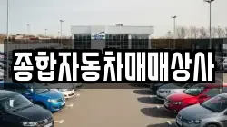 종합자동차매매상사