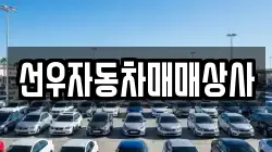선우자동차매매상사