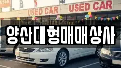 양산대형매매상사