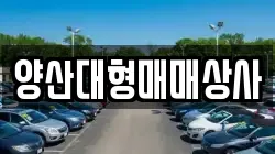 양산대형매매상사