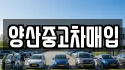 양산중고차매입