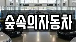 숲속의자동차