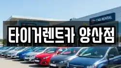 타이거렌트카 양산점