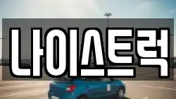 나이스트럭