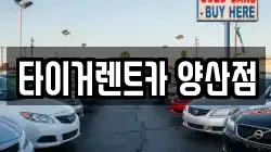 타이거렌트카 양산점
