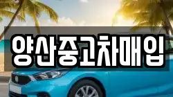 양산중고차매입