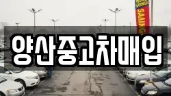 양산중고차매입