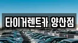 타이거렌트카 양산점