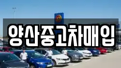 양산중고차매입