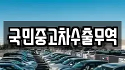 국민중고차수출무역