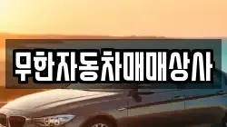 무한자동차매매상사