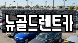 뉴골드렌트카